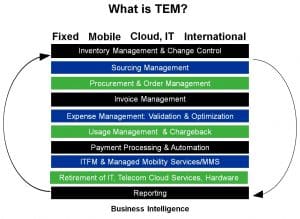 TEM process flowchart with various management stages.