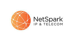 NetSpark IP & Telecom logo